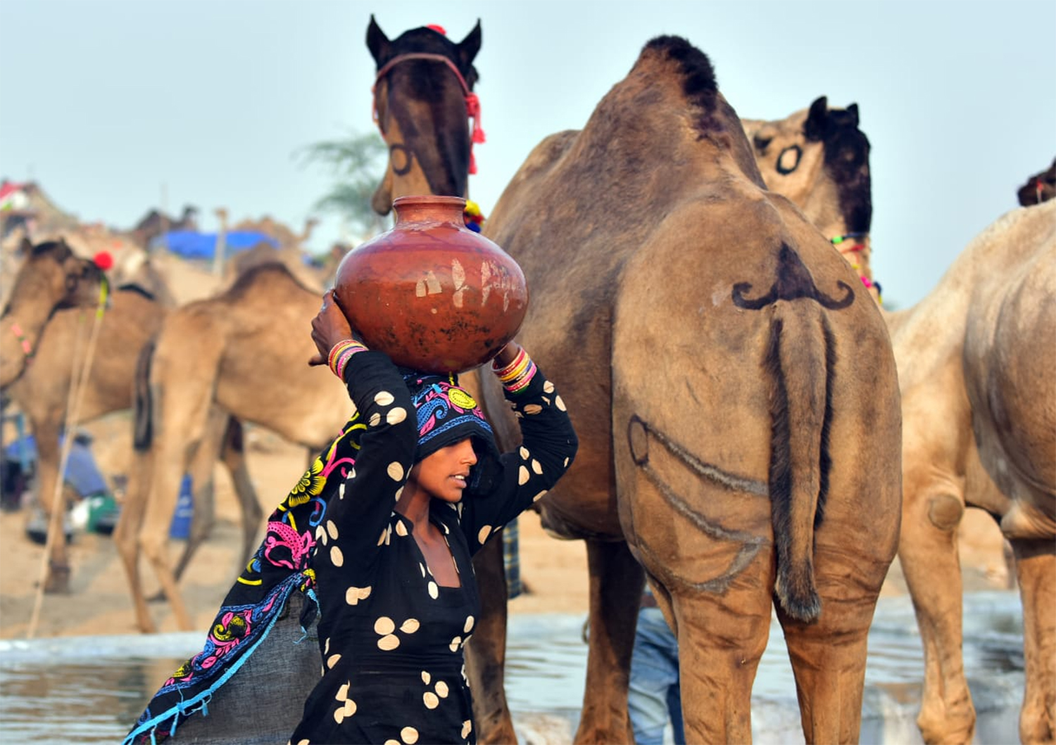 घुमंतू समाज से सरकारी विश्वासघात के 70 साल