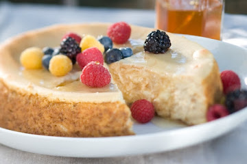 Honey Cheesecake