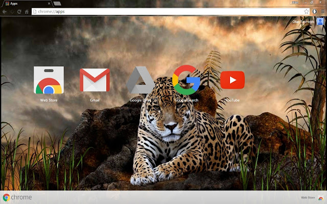 1080p HD Leopard chrome extension