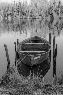 barchetta bn di davide negro