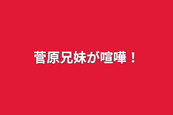 「菅原兄妹が喧嘩！」のメインビジュアル