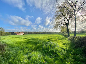 ferme à Lapalisse (03)