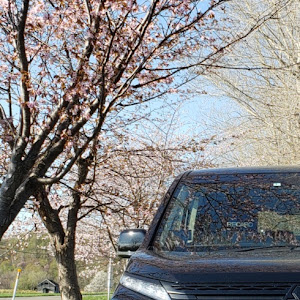 エクストレイル DNT31