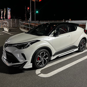 C-HR ZYX11