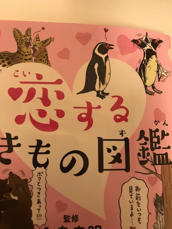 「恋する生き物図鑑」のメインビジュアル