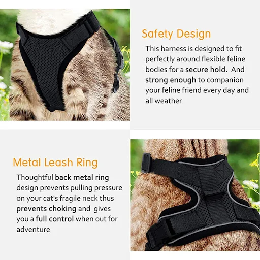 Soft Mesh Small Cat Harness and Leash Set Adjustable Vest Escape Proof for Pet Kitten Easy Control Reflective Puppy Dogs