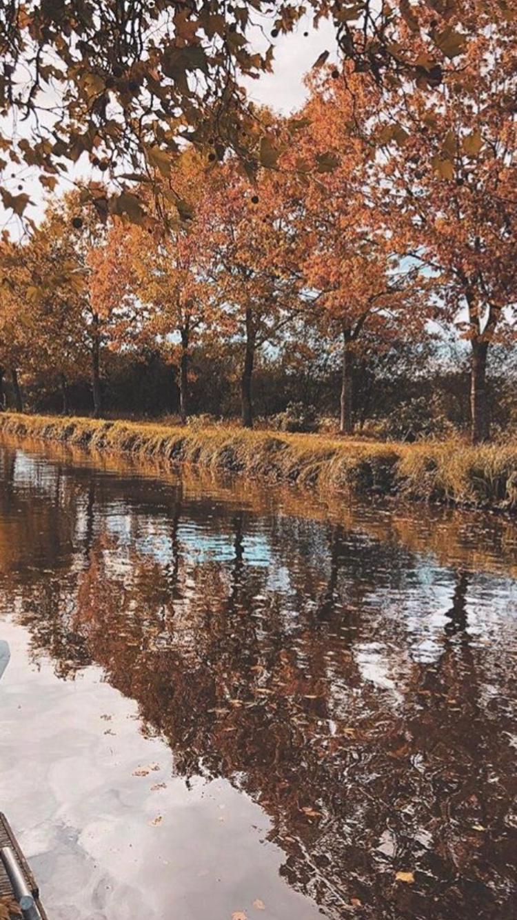 Riflessi d'autunno. di adriano_prandi