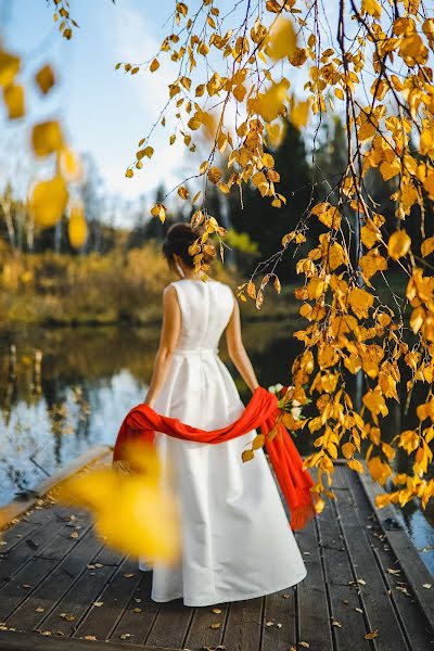 Wedding photographer Anna Novoselova (novoselova). Photo of 5 November 2019