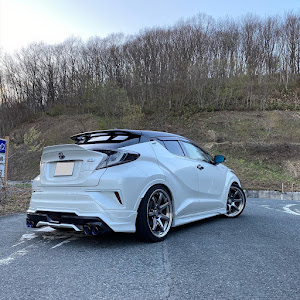 C-HR ZYX10