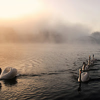 Nebbia di 