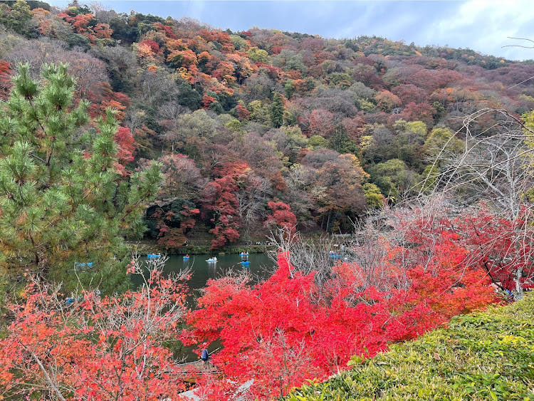 の投稿画像5枚目