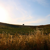 Panorama d'altri tempi di 