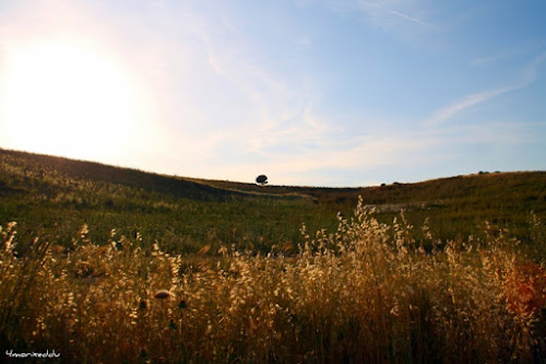 Panorama d'altri tempi di 4morixeddu.it