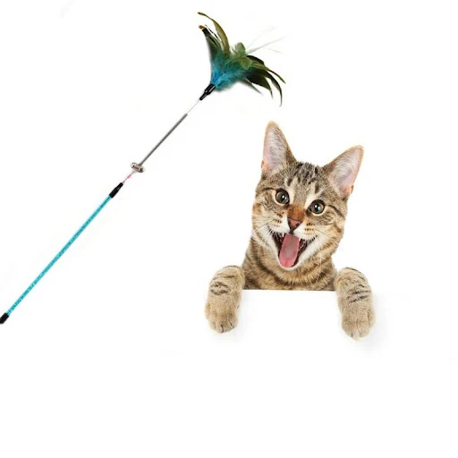 Funny Spiral Pet Cat Toys Colorful Feather Teaser Toys for Pets Cats Kitten with Bells Teasing Stick Pet Products Cat Wa