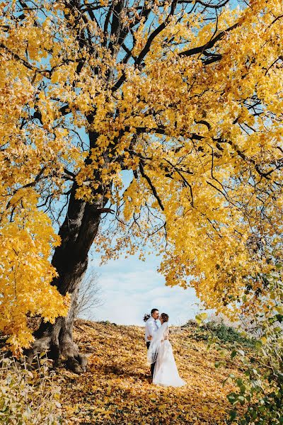 Fotograful de nuntă Anna Ermilova (anna67). Fotografia din 9 noiembrie 2019