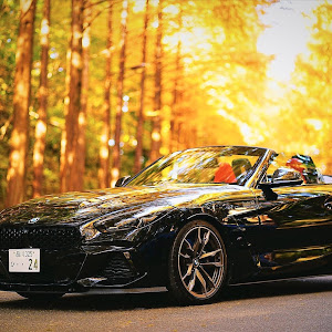 Z4 ロードスター G29