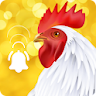 Animal Ringtone: Bird Ringtone icon