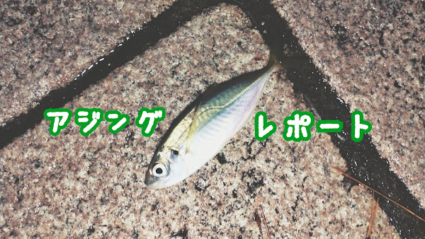 ポキオ輪業商会 アジング AbuGarcia XrossField XRFS-734L-MB