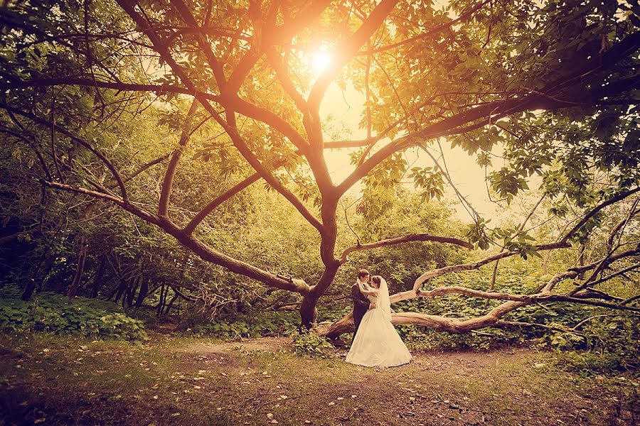 Svatební fotograf Aleksey Zhuravlev (zhuralex). Fotografie z 7.října 2013