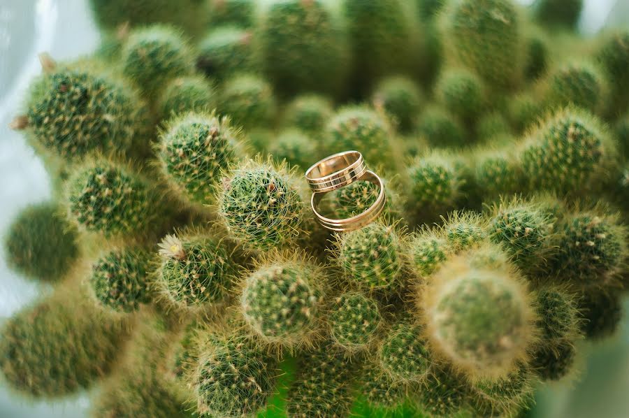 Wedding photographer Natalya Zderzhikova (zderzhikova). Photo of 29 March 2017