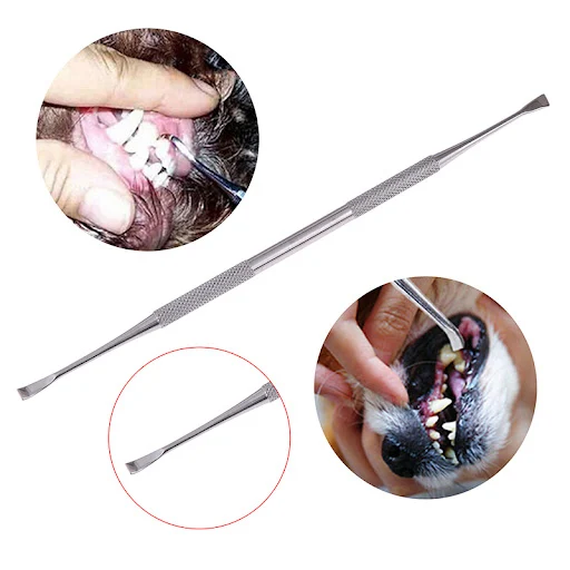 Double-head Stainless Steel Pet Tartar Stone Remover Scraper Scaler for Dog Dental Tooth Oral Hygiene Health Care Clean 