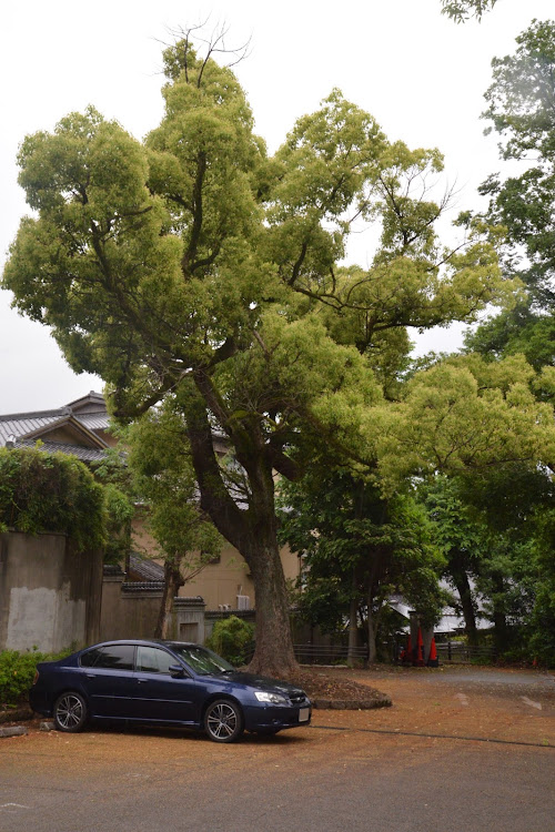 の投稿画像1枚目