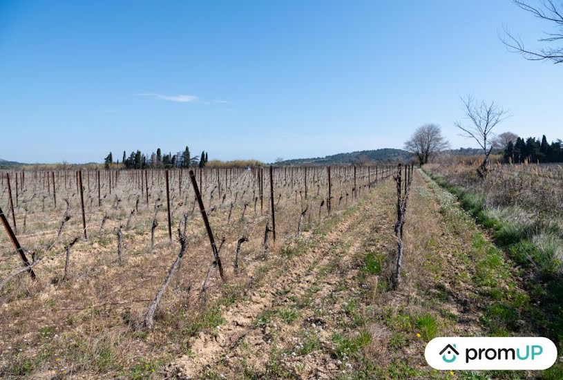  Vente Terrain à bâtir - à Peyriac-de-Mer (11440) 