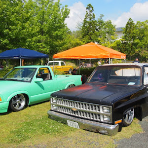 C10