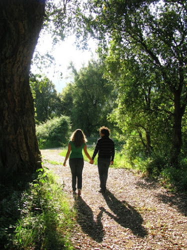 In cammino di Elisabetta Di Girolamo