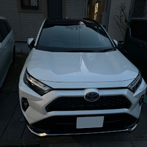 RAV4 AXAP54