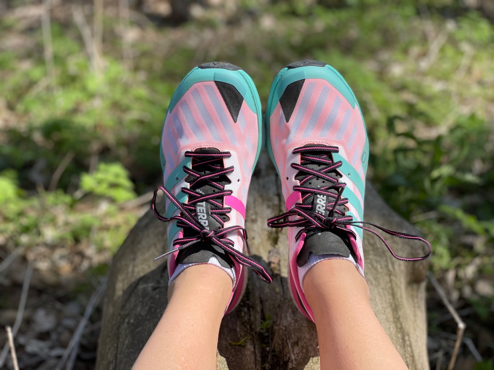 Road Trail adidas Terrex Speed Multi Review: Some Old, Something New. A Solid and Speedy Combination!