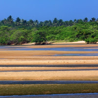 Praia de Buraquinho  Brasile  di 