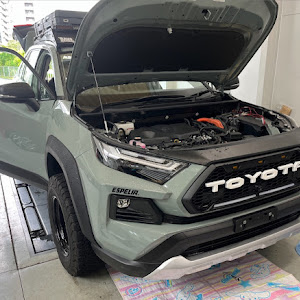 RAV4 AXAH54