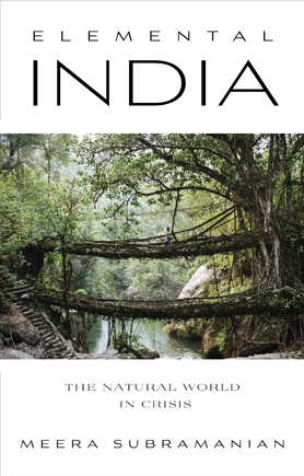 The Dogs: An Excerpt from "Elemental India"