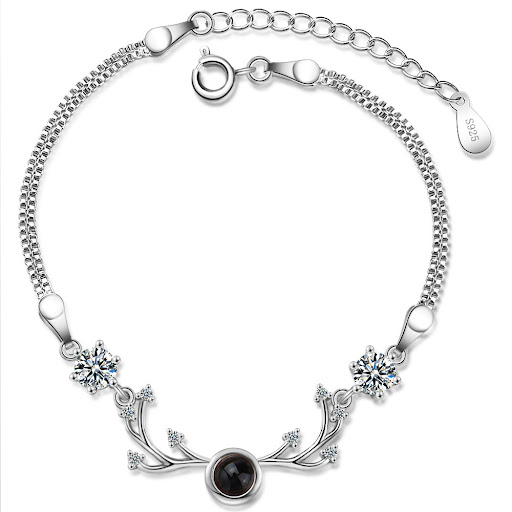 Title 7, Niche Design 100 Languages Projection Bracelet....