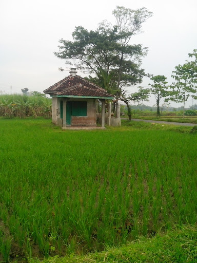 Mushola Kecil Tengah Sawah