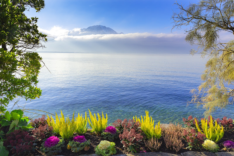 Lake Geneva shoreline di Eduard