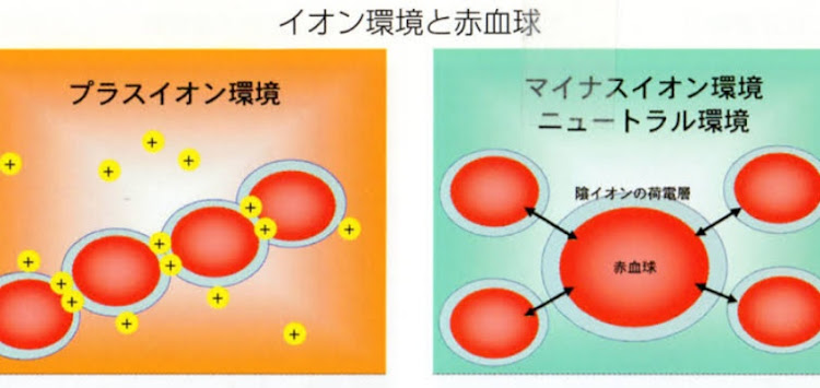 の投稿画像3枚目