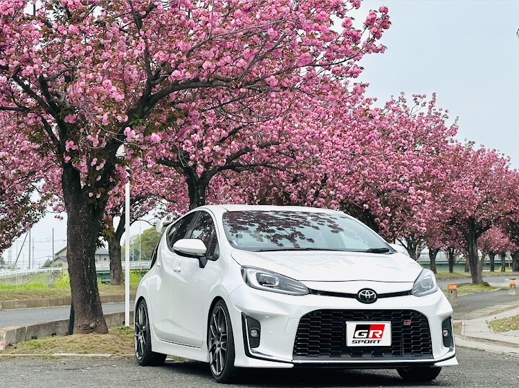 アクアの桜と愛車・桜とコラボ・八重桜・アリス米への道・代かきに関するカスタム事例の投稿画像1枚目