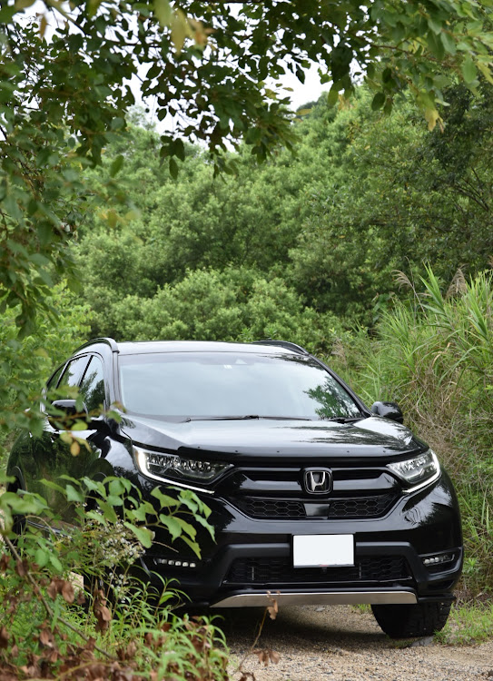 CR-Vの週間「CR-V」・近畿CR-V・たのCR-V・傷だらけのCR-V😭・コロナが早く終息しますようにに関するカスタム事例の投稿画像9枚目