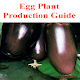 Download Egg Plant Production Guide for Tropical Regions For PC Windows and Mac 1.0