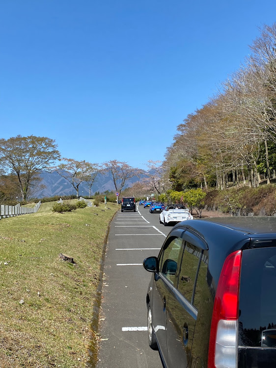 ライフの桜と嫁車・納骨式・まさかの遭遇・桜も見納め🌸・車検へいてらさいませ🙇に関するカスタム事例の投稿画像8枚目