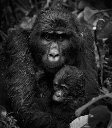 # -3 : THE 'MADONNA' AND CHILD