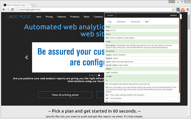 James - Analytic/SEO Auditor