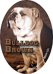 Bulldog Brown Ale