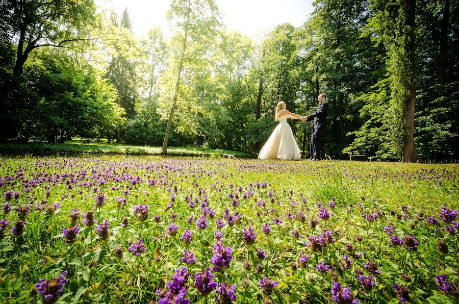 Hochzeitsfotograf Michał Czekański (mczekanski). Foto vom 10. August 2015