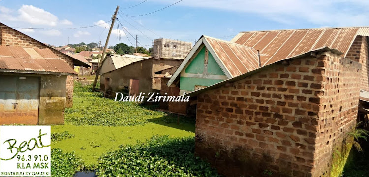 Some of the abandoned houses in Katogo Village Ggaba Kampala