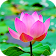 Fleur de lotus live wallpaper (arrière-plans) icon