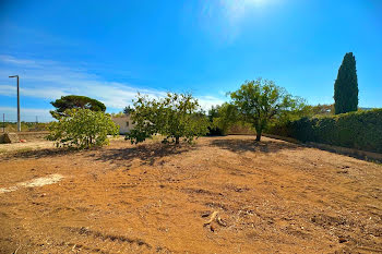 terrain à Hyeres (83)