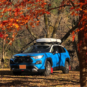 RAV4 MXAA54